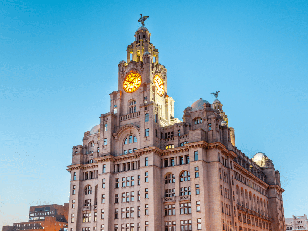 Liver building